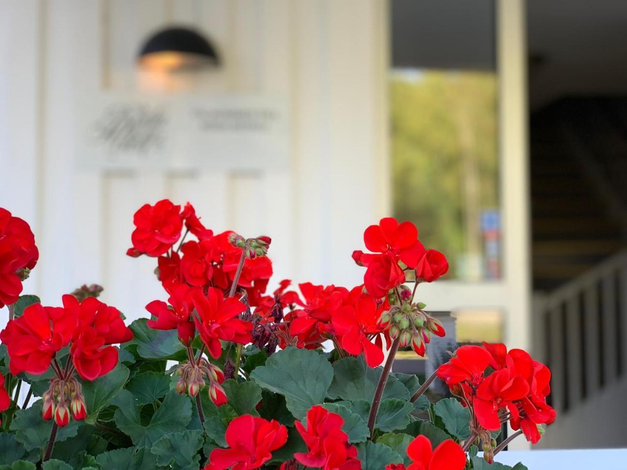 Boeda Hotell Exterior foto